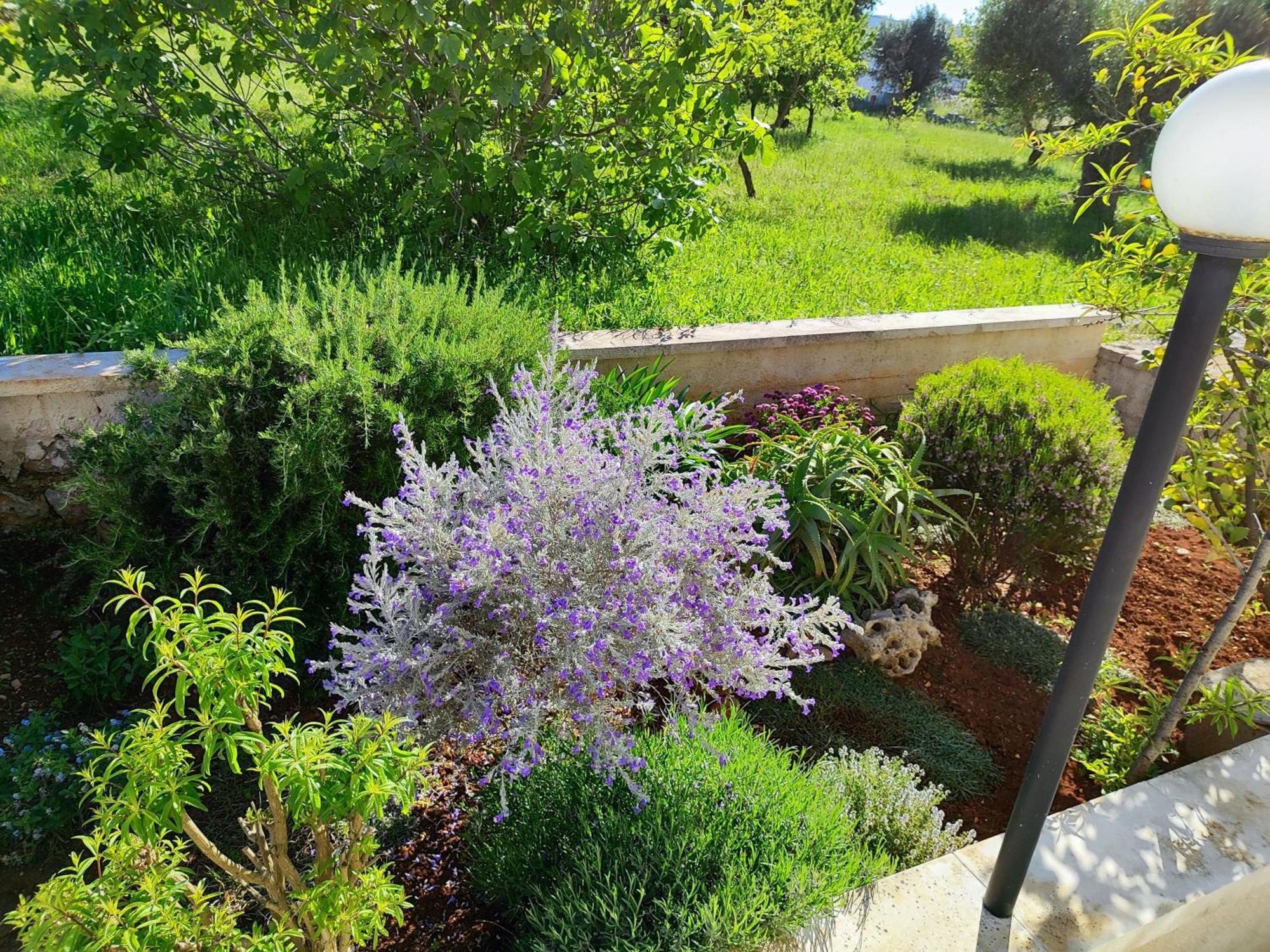 Casa Dori Villa Чистернино Екстериор снимка